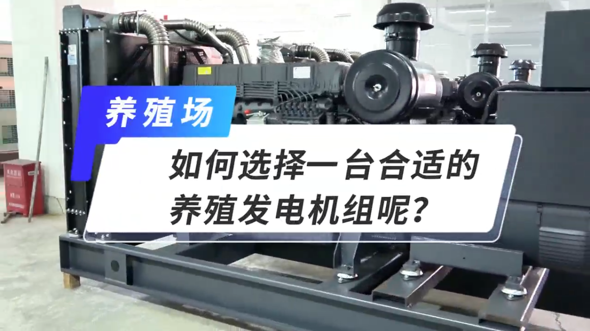 「視頻」如何選擇一臺合適的養(yǎng)殖發(fā)電機組呢？